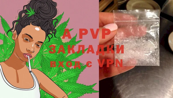 гашик Алексеевка