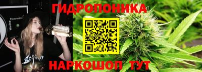 гашик Пыть-Ях