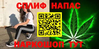 гашик Пыть-Ях