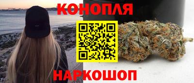гашик Пыть-Ях